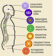 Солнечное Сплетение Где Находится У Человека Фото